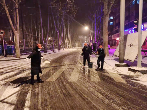 雪天里，洛陽公交人抗擊疫情的最美風景 